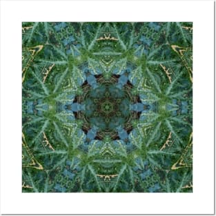 744L Unique Blue Green Colorful Abstract Nature Mandala Photo Posters and Art